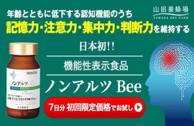 ﾉﾝｱﾙﾂBee