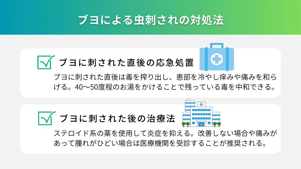 ブヨによる虫刺されの適切な対処法